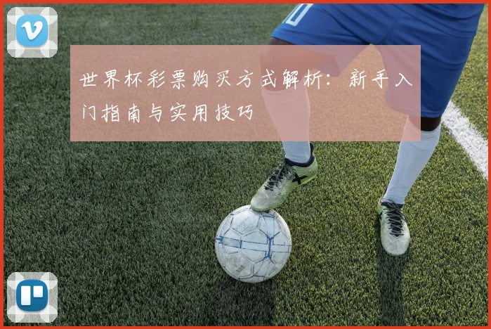 世界杯彩票购买方式解析:新手入门指南与实用技巧