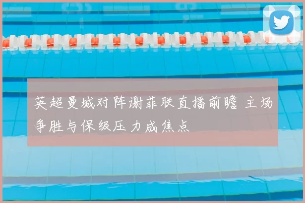 英超曼城对阵谢菲联直播前瞻 主场争胜与保级压力成焦点