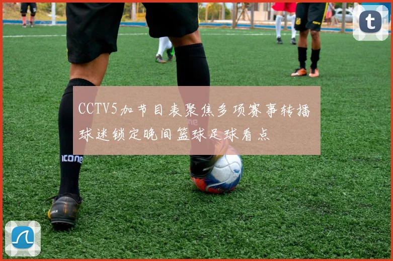 CCTV5加节目表聚焦多项赛事转播 球迷锁定晚间篮球足球看点