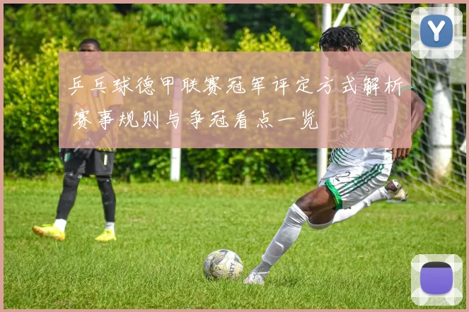 乒乓球德甲联赛冠军评定方式解析 赛事规则与争冠看点一览