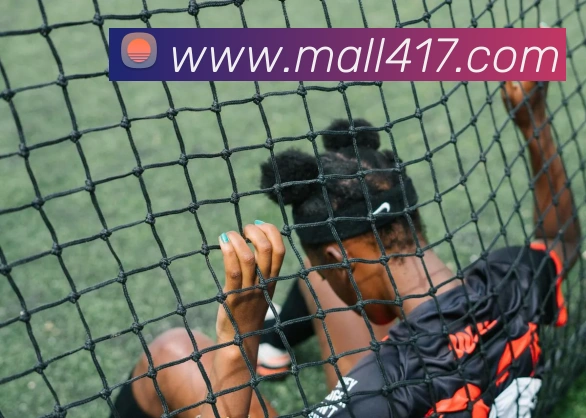 kaiyun官方网站服务体系